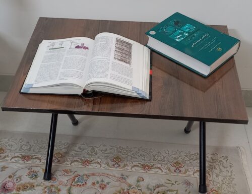 میز تحریر تاشو زمینی مدل کاج ابعاد 50*۷۰ سانتی متر photo review